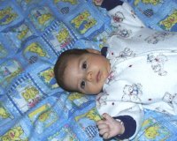 gal26.jpg (11585 bytes)